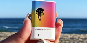 Colors Disposable Champagne Kush